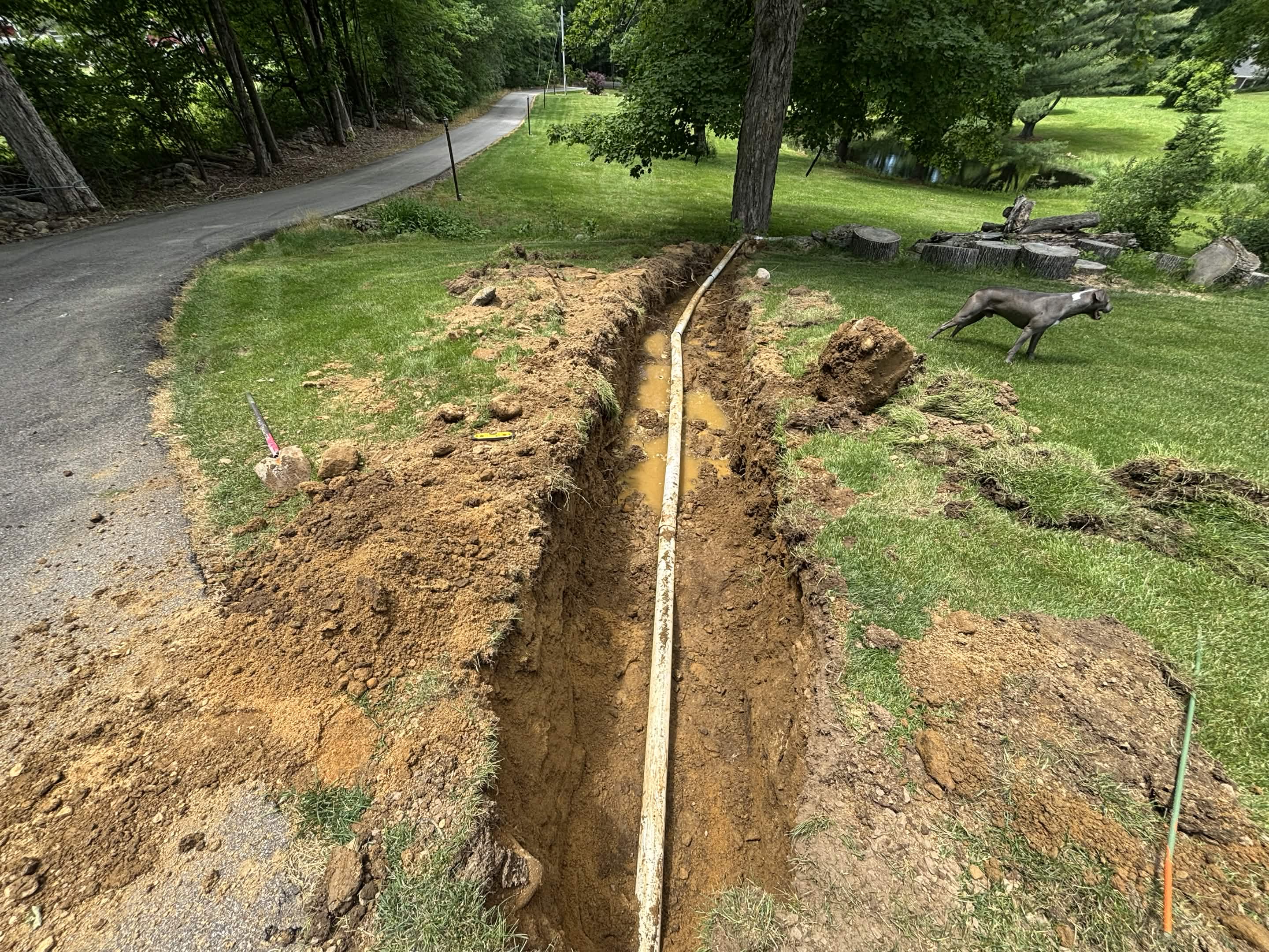 Saturated lawn before drainage pipe installation in Spencer, MA